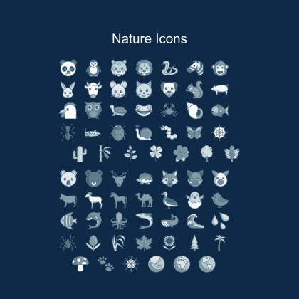 Herbal Makeup Brand IG Stories presentation template 