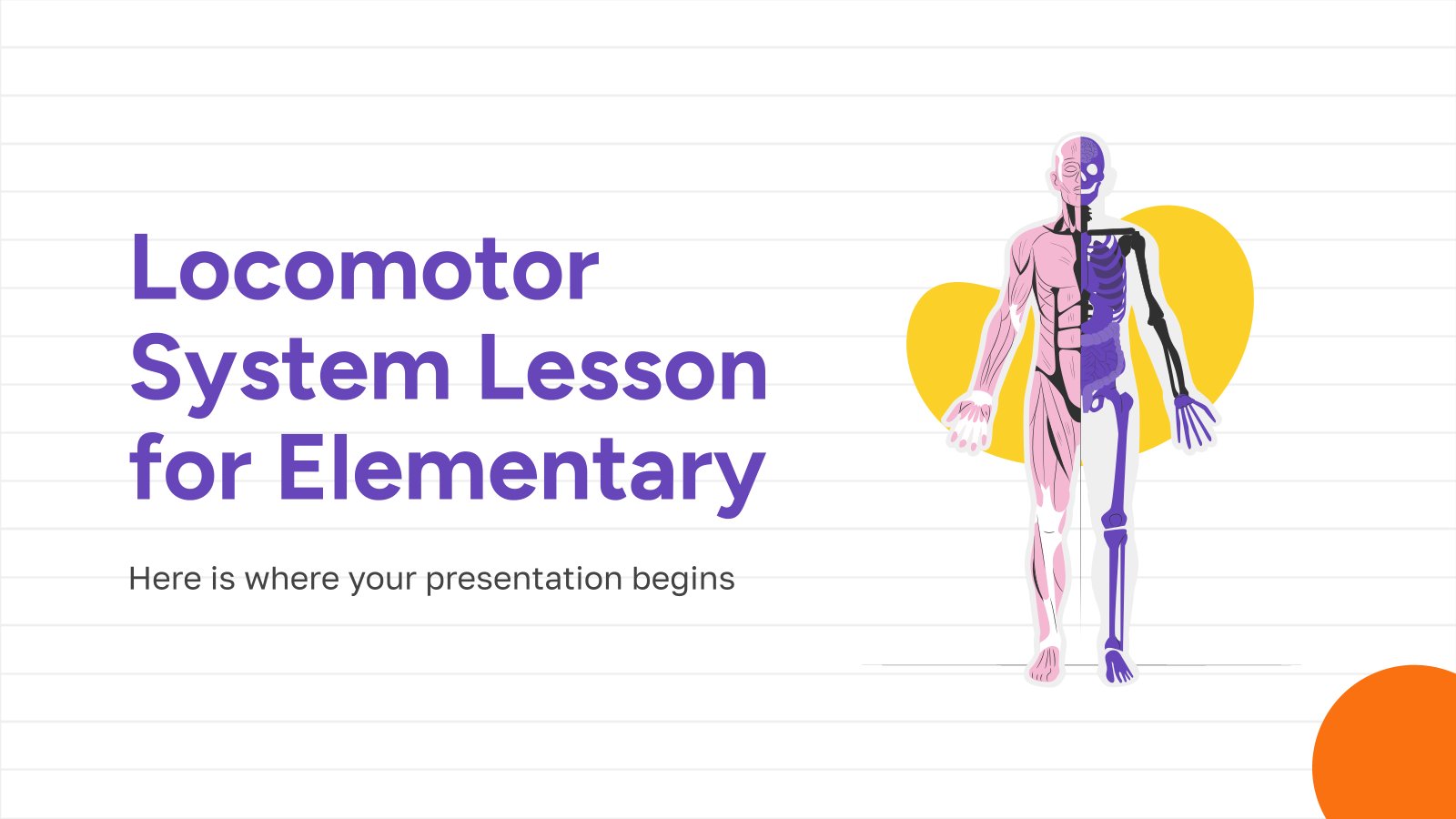 Modelo de apresentação Lição sobre o sistema locomotor para o ensino fundamental