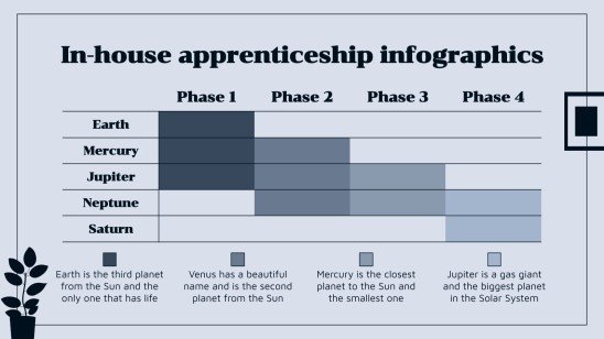 In-house Apprenticeship Plan Project Proposal Infographics