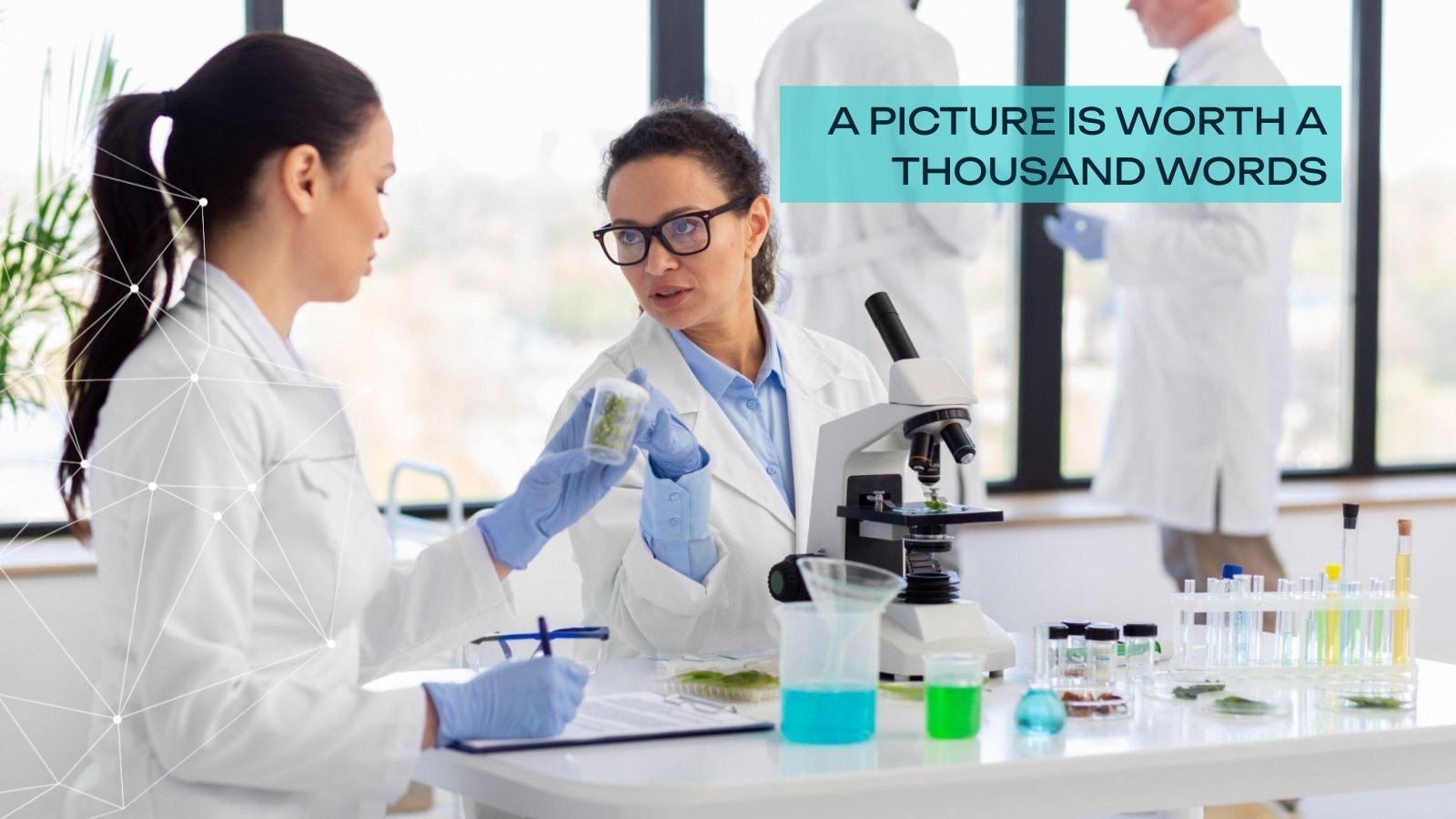 Biomedicine Laboratory Company Profile