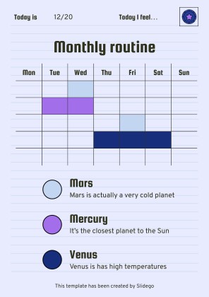 Printable Top Secret Journal presentation template 