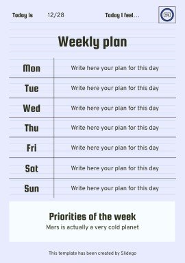 Printable Top Secret Journal presentation template 