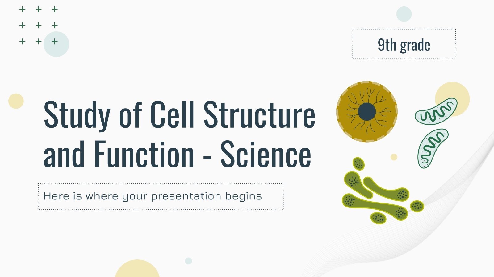 Study of Cell Structure and Function - Science - 9th Grade