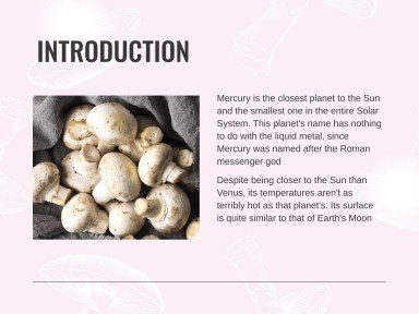 버섯 웨비나 프레젠테이션 템플릿