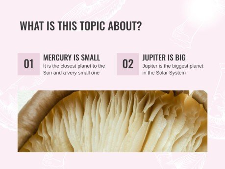 버섯 웨비나 프레젠테이션 템플릿