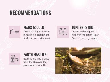 버섯 웨비나 프레젠테이션 템플릿