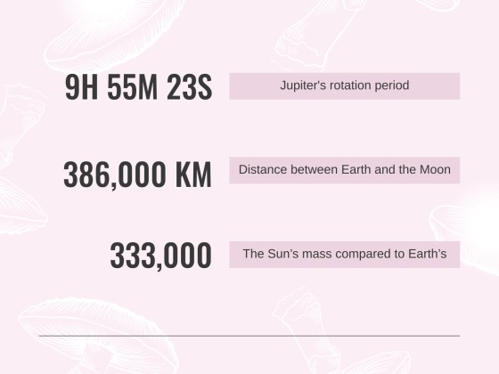 버섯 웨비나 프레젠테이션 템플릿