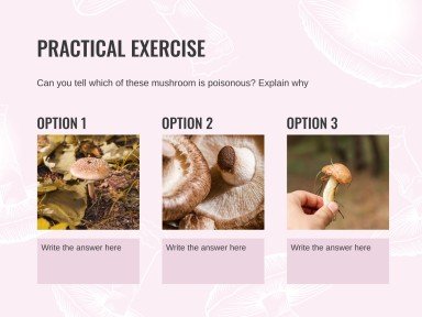 버섯 웨비나 프레젠테이션 템플릿