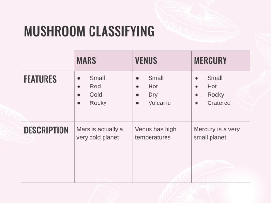 버섯 웨비나 프레젠테이션 템플릿