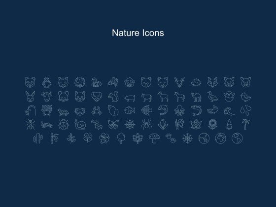 버섯 웨비나 프레젠테이션 템플릿