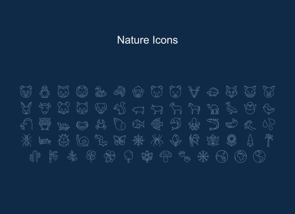 High School Diploma Theme with Floral Borders and Frames presentation template 