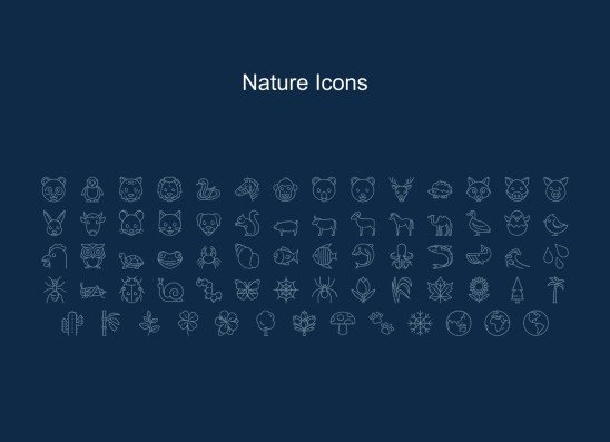 High School Diploma Theme with Floral Borders and Frames presentation template 