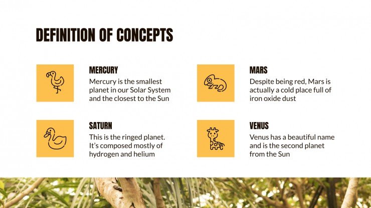 Animal Kingdom Lesson presentation template