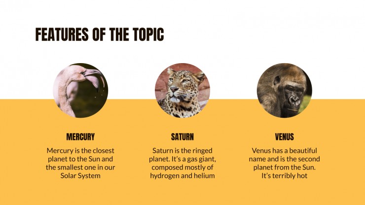 Animal Kingdom Lesson presentation template