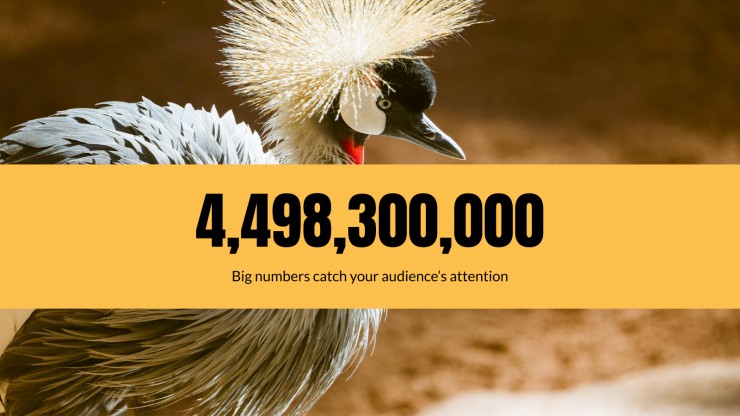 Animal Kingdom Lesson presentation template