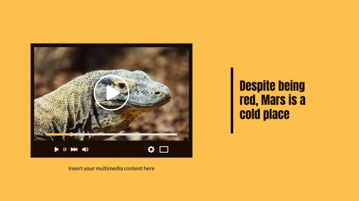 Animal Kingdom Lesson presentation template