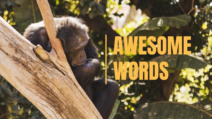Animal Kingdom Lesson presentation template