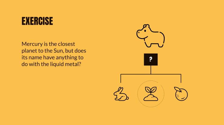 Animal Kingdom Lesson presentation template