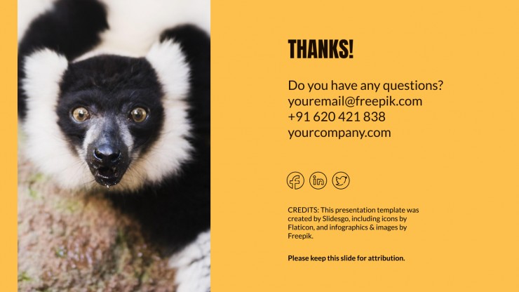 Animal Kingdom Lesson presentation template