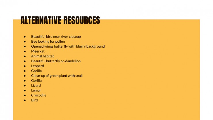 Animal Kingdom Lesson presentation template