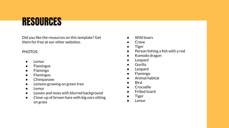 Animal Kingdom Lesson presentation template