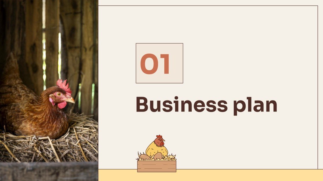 Broiler Chicken Farm Business Plan