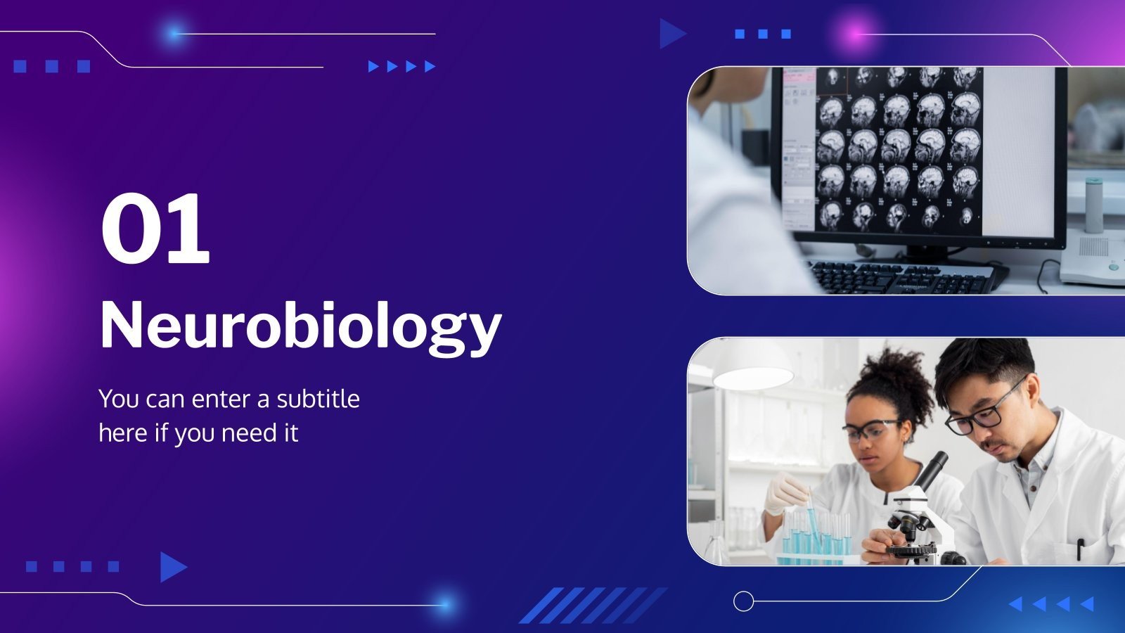 Neurobiology Bachelor of Science in Human Biology