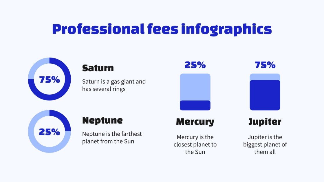 Professional Fees Marketing Plan Infographics