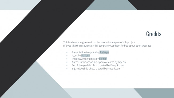 Geometric Business presentation template
