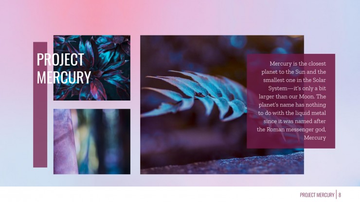 Designer Portfolio presentation template