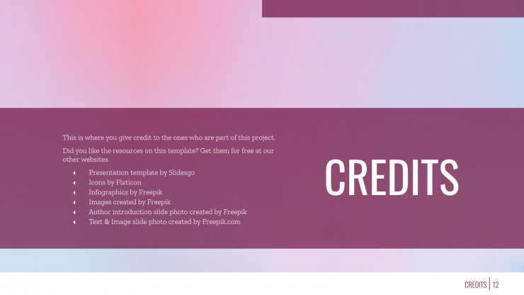 Designer Portfolio presentation template