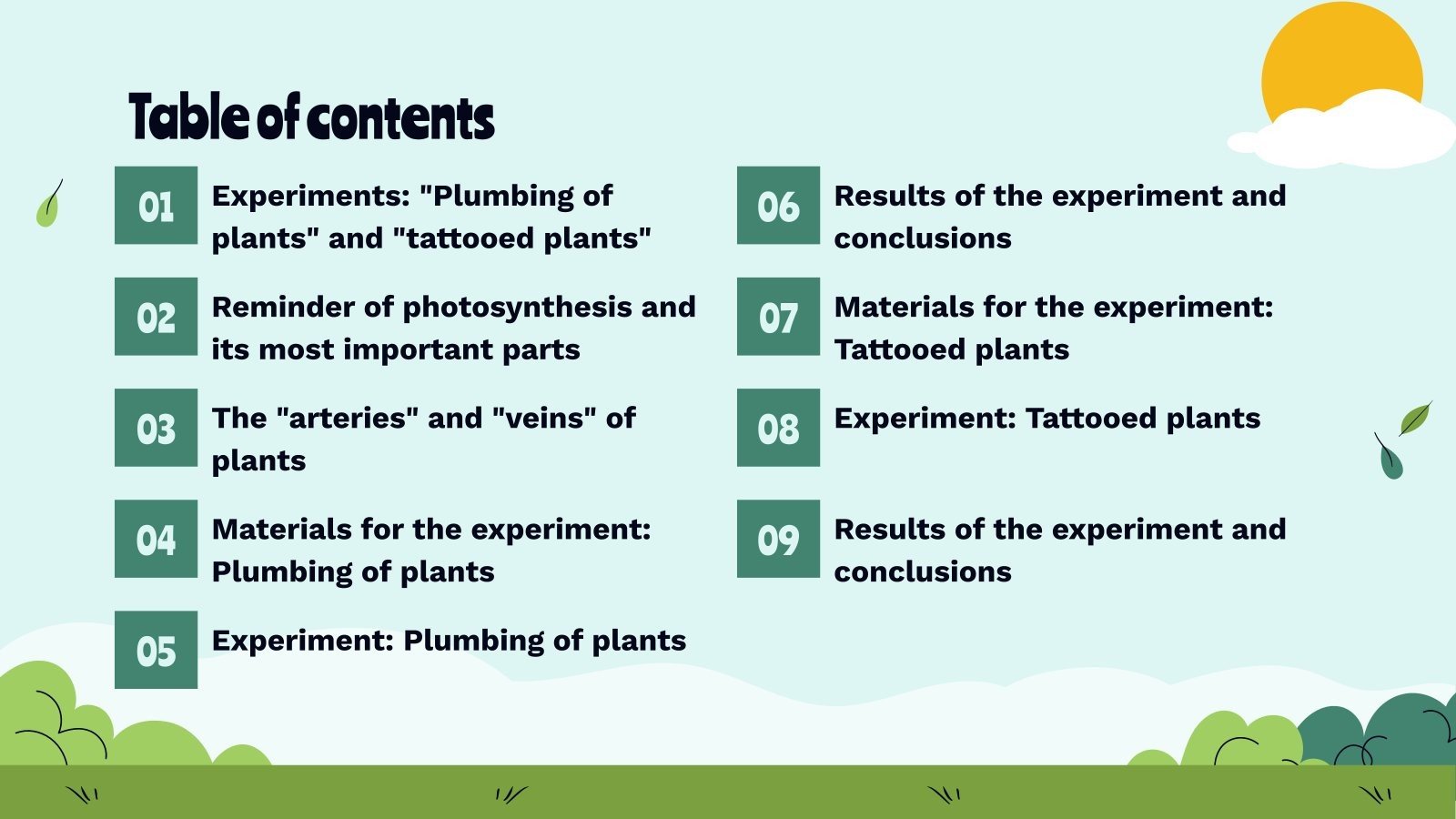 Experiments With Plants and Their Consequences Presentation