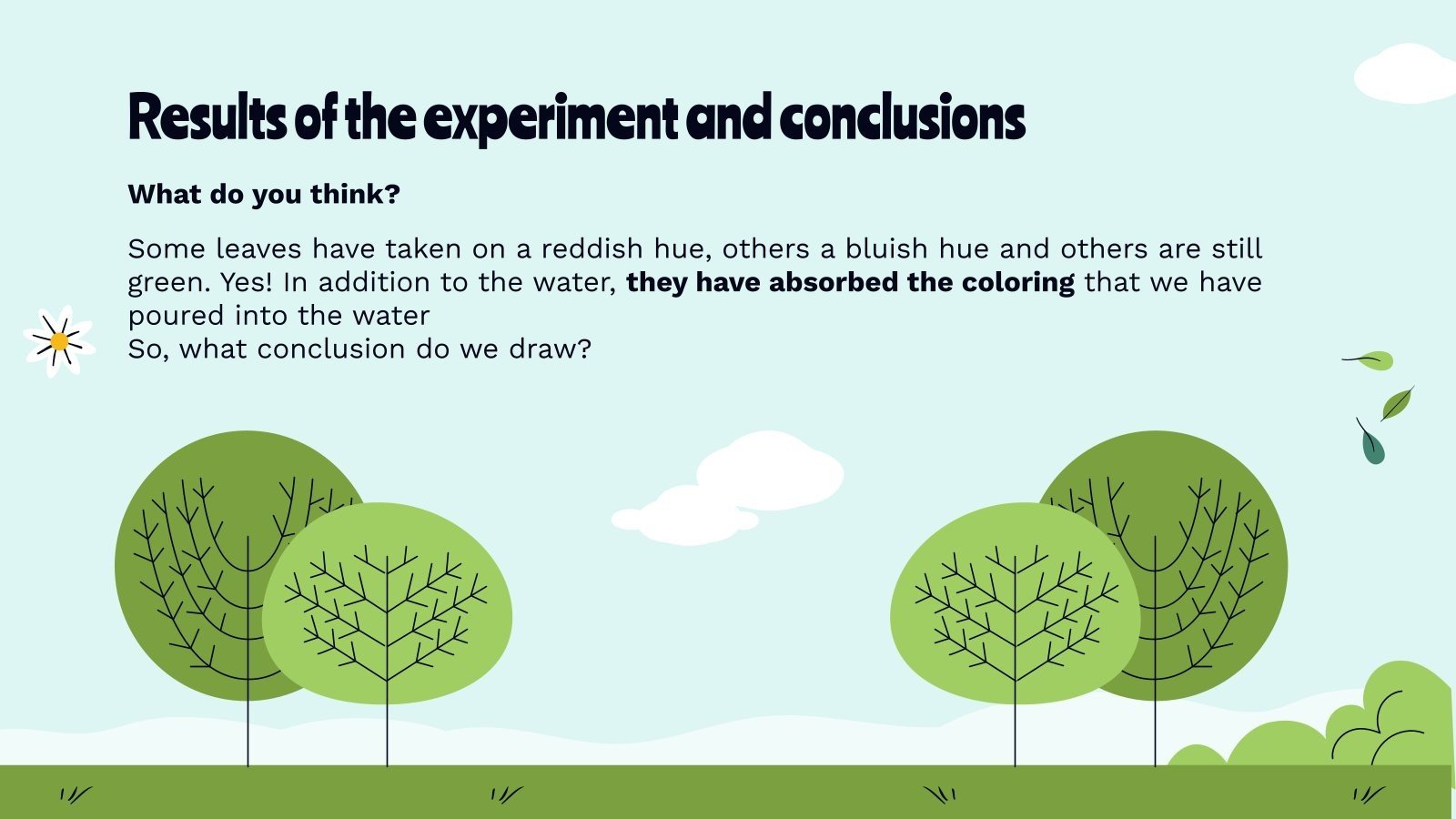 Experiments With Plants and Their Consequences Presentation