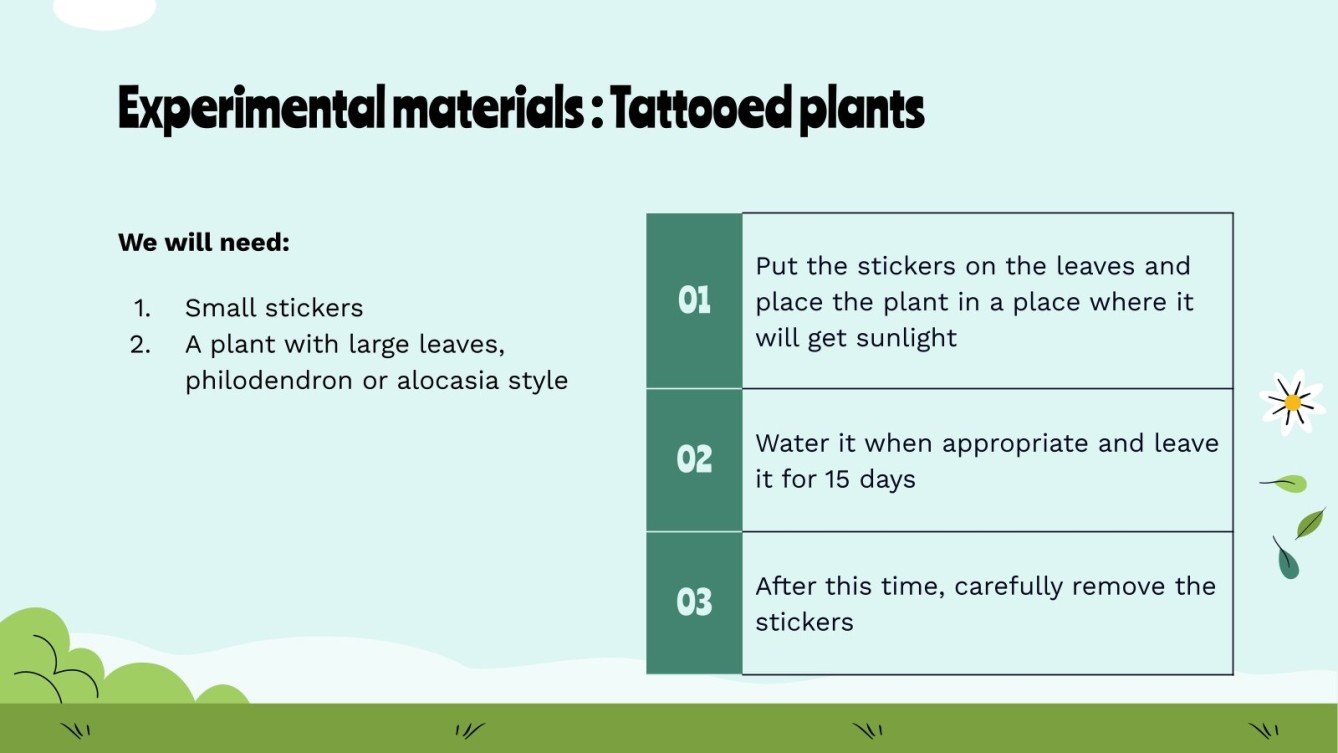 Experiments With Plants and Their Consequences Presentation