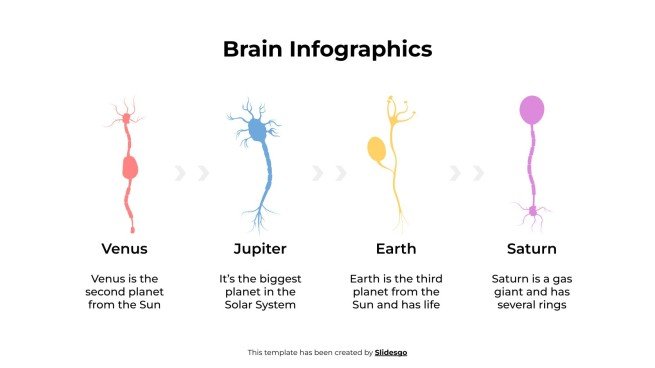 Brain Infographics