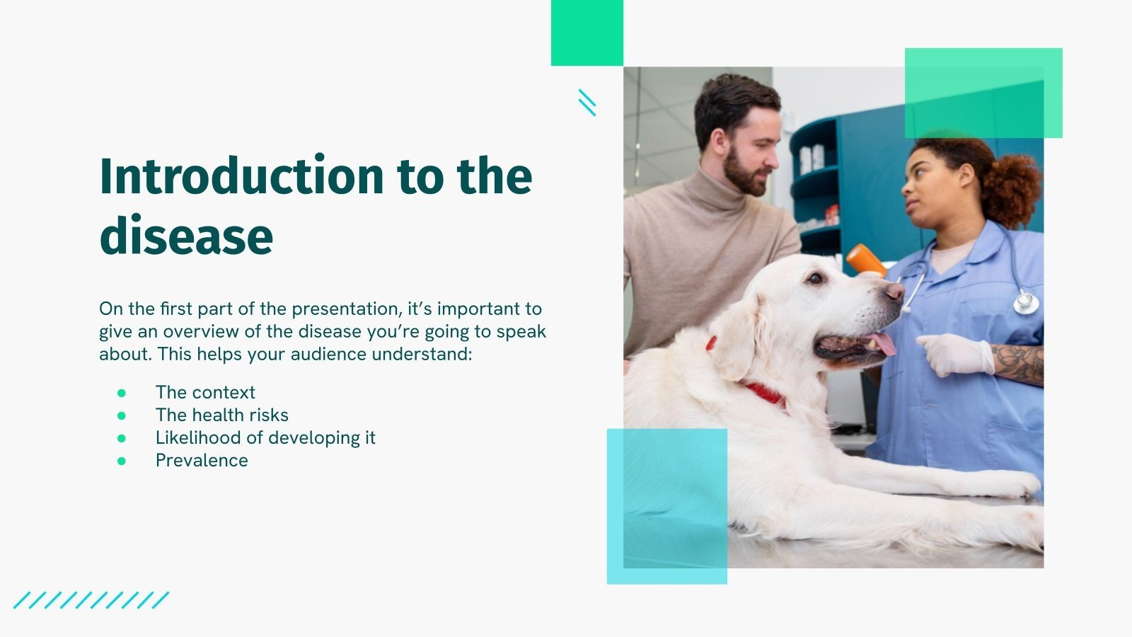 Tick Infestation In Dogs Presentation Tick infestation in dogs presentation