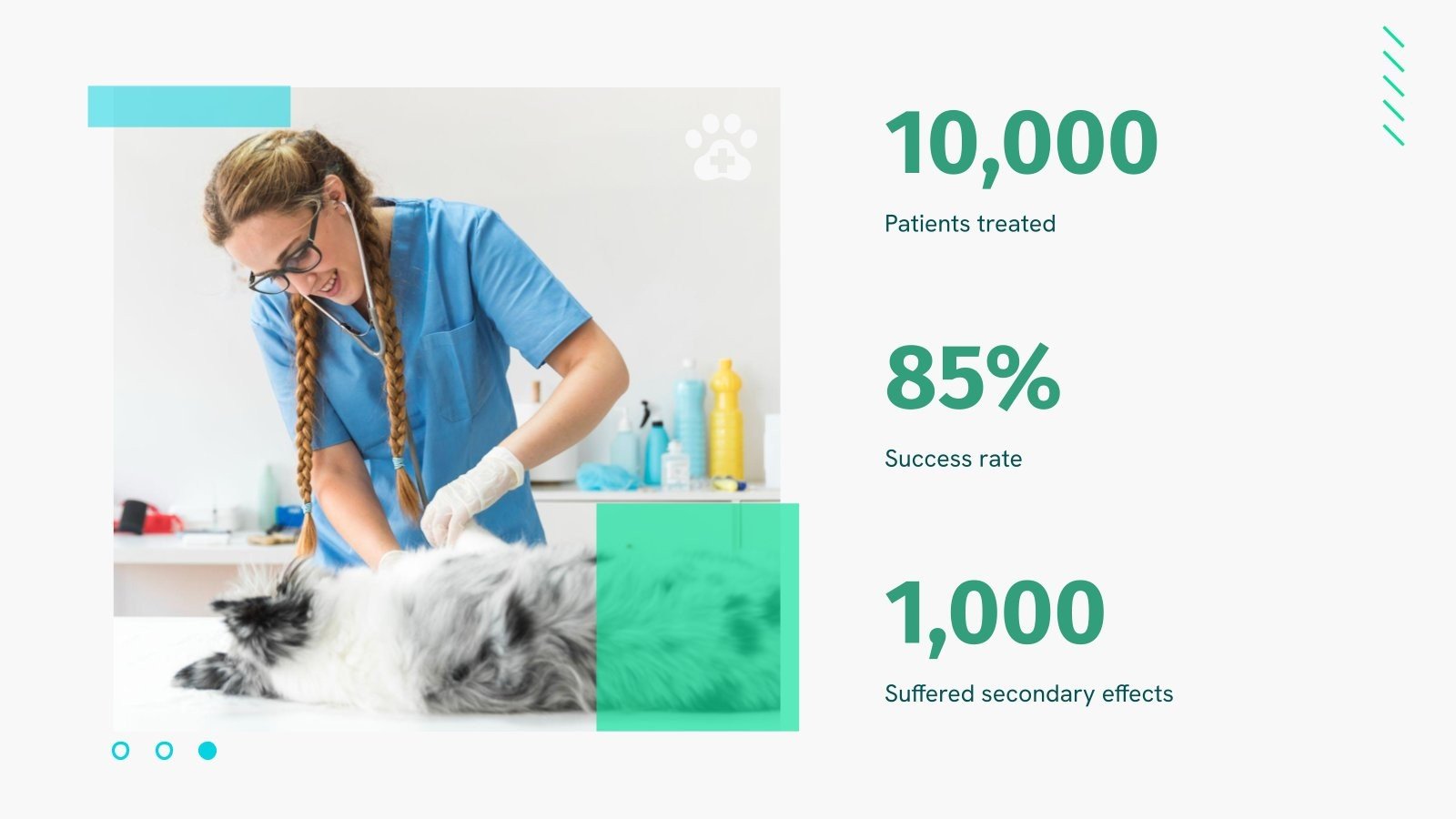 Tick Infestation In Dogs Presentation Tick infestation in dogs presentation