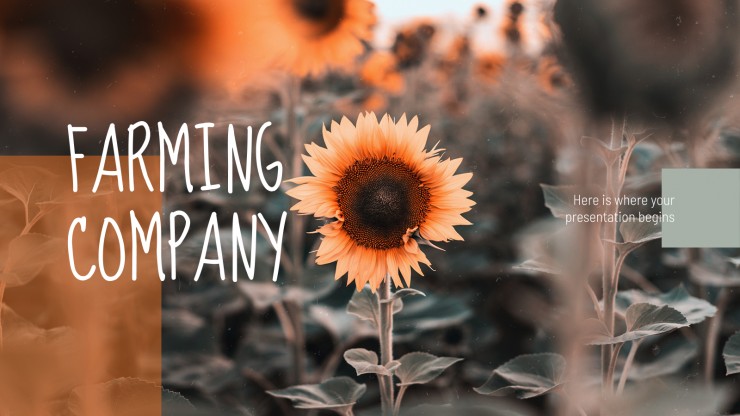 Farming Company presentation template