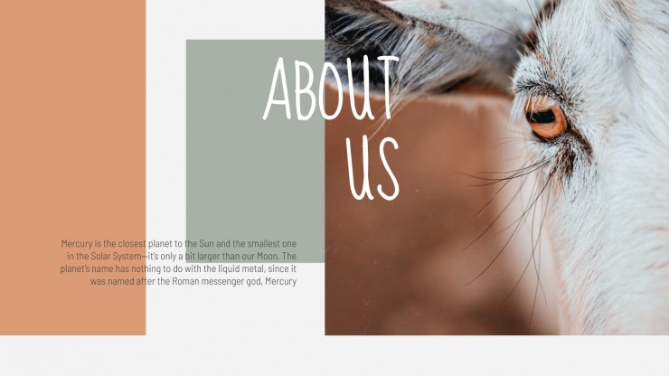 Farming Company presentation template