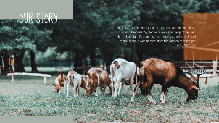 Farming Company presentation template
