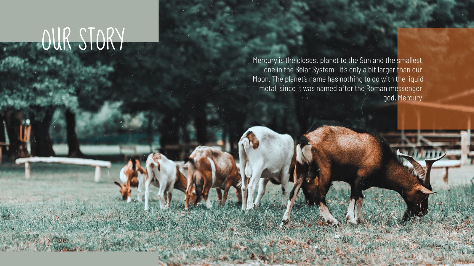 Farming Company Google Slides Theme Powerpoint Template Farming Company Google Slides Theme Powerpoint Template