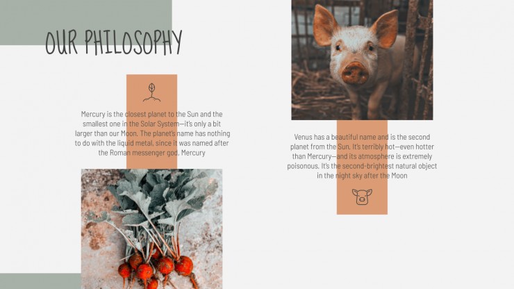 Farming Company presentation template