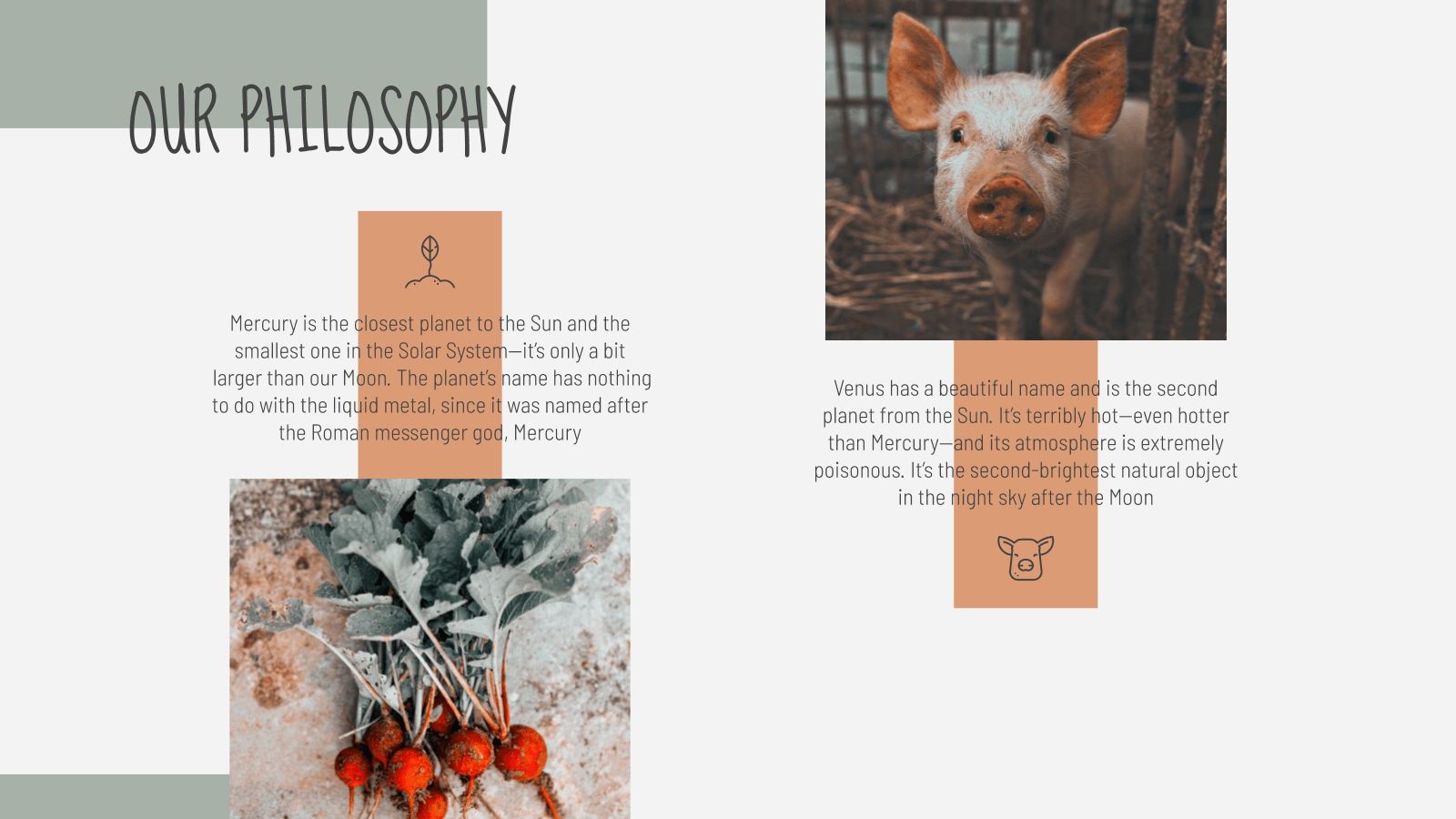 Farming Company Google Slides Theme Powerpoint Template Farming Company Google Slides Theme Powerpoint Template