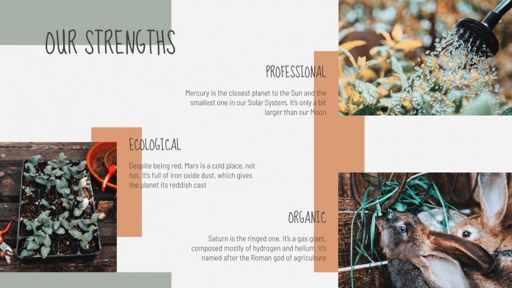 Farming Company presentation template