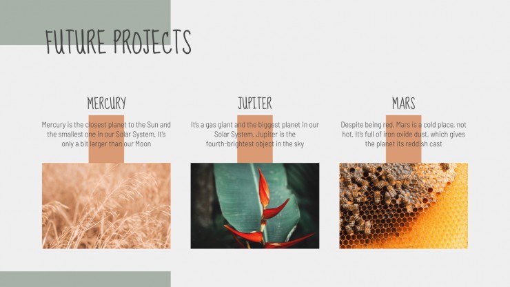 Farming Company presentation template