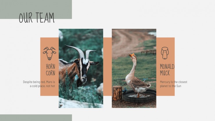 Farming Company presentation template