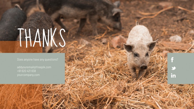 Farming Company presentation template