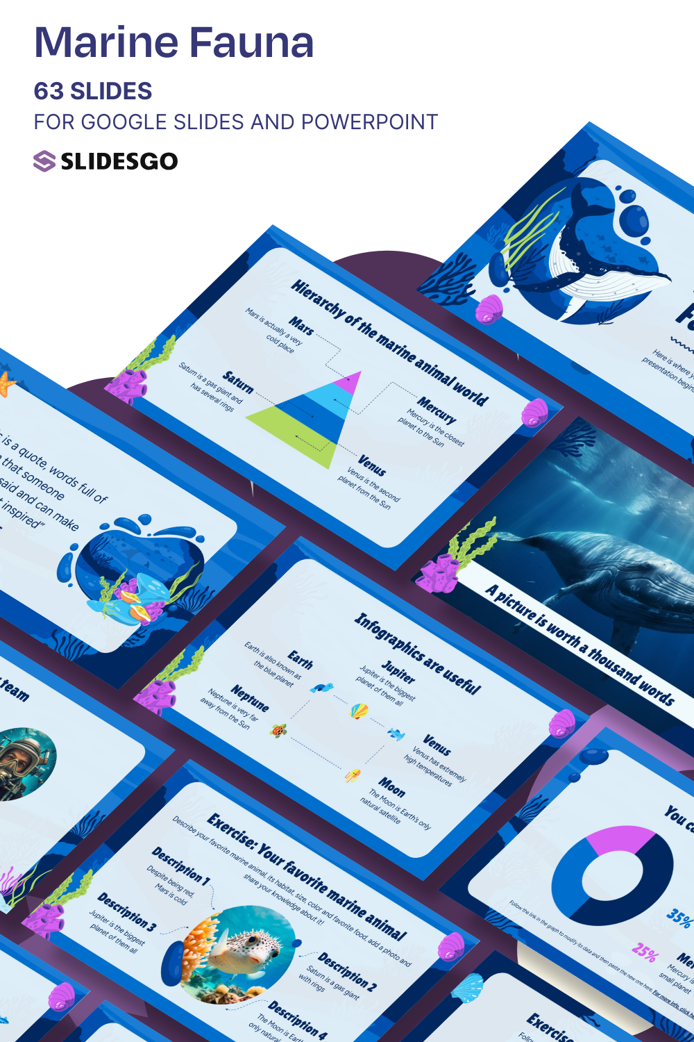 Marine Fauna Presentation