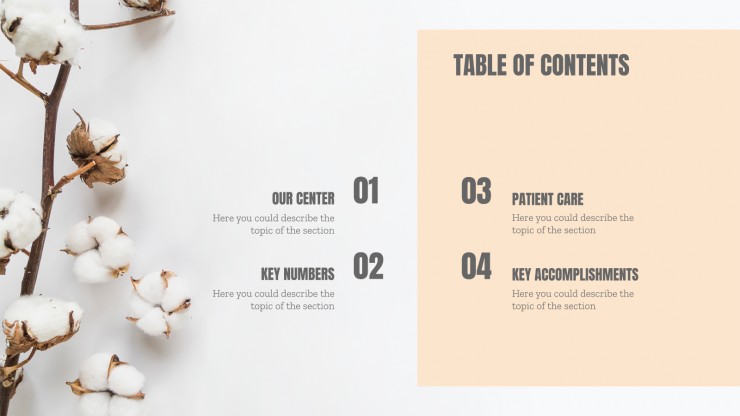 Plastic Surgery Center presentation template