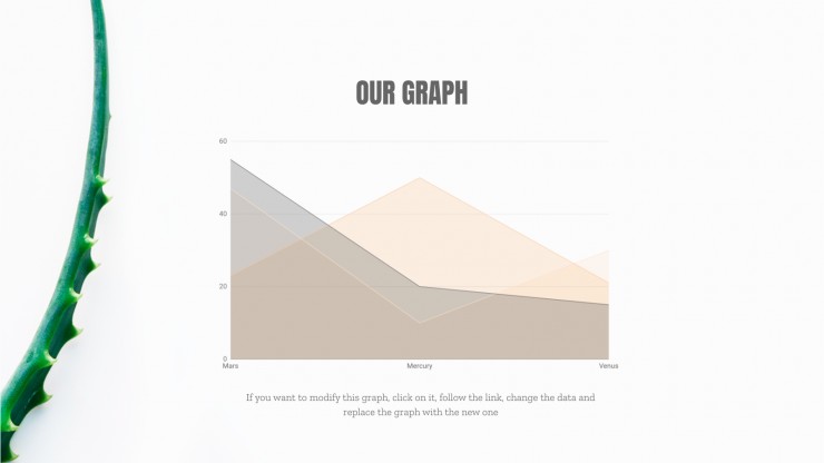 Plastic Surgery Center presentation template